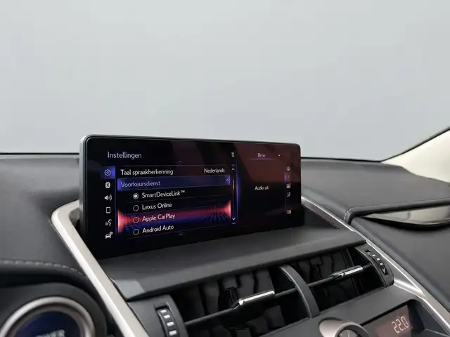 Lexus NX view 13