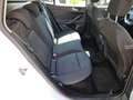Ford Focus Focus 1.5 EcoBlue 120 CV SW Business Blanc - thumbnail 12