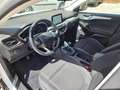 Ford Focus Focus 1.5 EcoBlue 120 CV SW Business Blanc - thumbnail 10