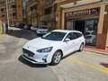 Ford Focus Focus 1.5 EcoBlue 120 CV SW Business Blanc - thumbnail 1