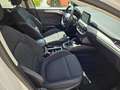Ford Focus Focus 1.5 EcoBlue 120 CV SW Business Blanc - thumbnail 11