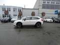 Subaru XV Active*2.0d-147Ps*AWD*Alu17*Tüv-Okt/2026*1Hd Weiß - thumbnail 8