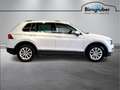 Volkswagen Tiguan Comfortline TSI Weiß - thumbnail 3