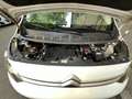 Citroen Jumpy JUMPY PHC M BLUEHDI 120 BVM6 CONFORT Blanc - thumbnail 9