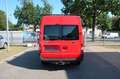 Ford Transit Kasten FT 350 M LKW  / AHK Piros - thumbnail 4