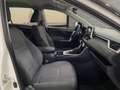 Toyota RAV 4 RAV4 RAV4 2.5l 220H Business 4WD Blanco - thumbnail 18