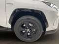 Toyota RAV 4 RAV4 RAV4 2.5l 220H Business 4WD Blanco - thumbnail 10