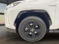 Toyota RAV 4 RAV4 RAV4 2.5l 220H Business 4WD Blanco - thumbnail 9