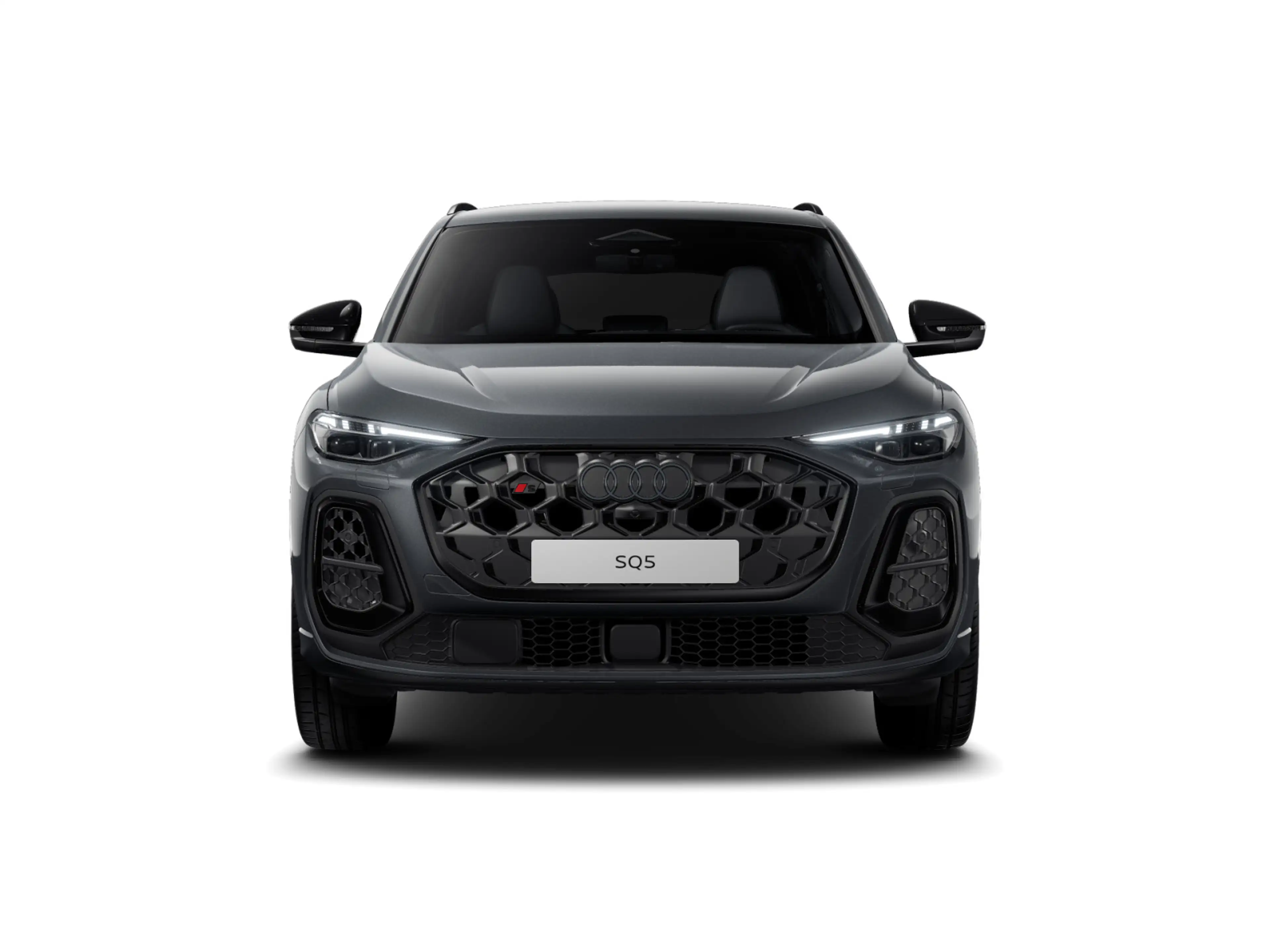 Audi SQ5 TFSI Q UPE101 AHK LEDER BuO OLED HuD — photo 3