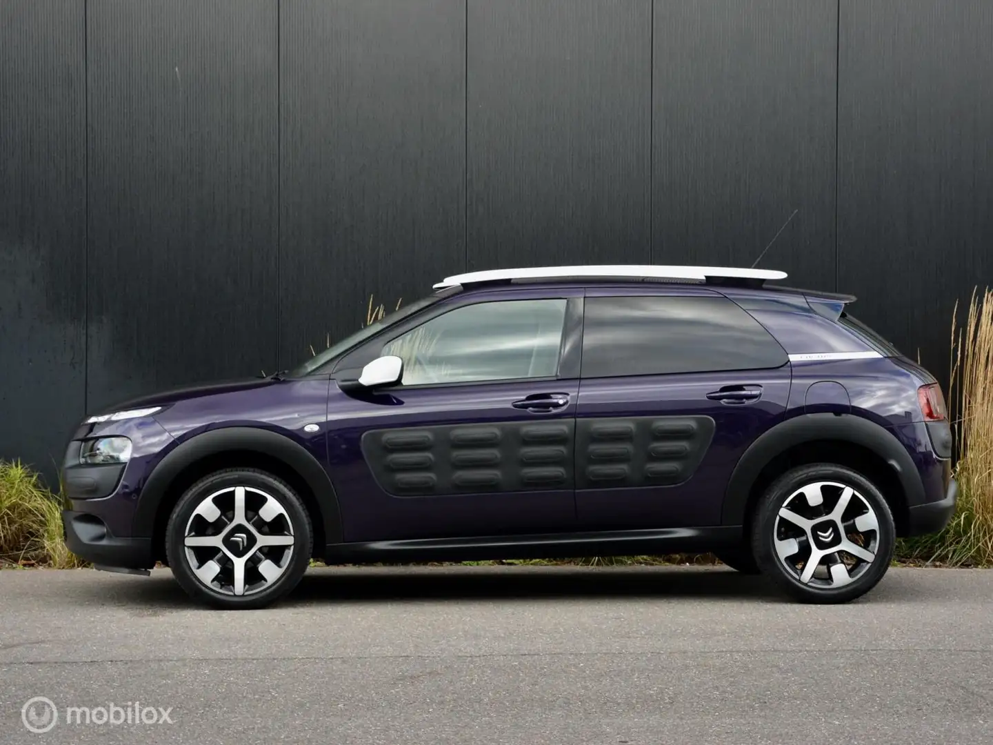 Citroen C4 Cactus 110pk Shine I Panodak I Navi I Paars - 2