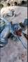 Volkswagen Golf GTI 2.0 DSG - thumbnail 10