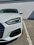 Audi A5 A5 SB 2,0 TDI quattro sport S-tronic sport Weiß - thumbnail 3