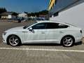 Audi A5 A5 SB 2,0 TDI quattro sport S-tronic sport Weiß - thumbnail 4