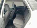 SEAT Arona Austria Edition 1.0 TSI Weiß - thumbnail 12