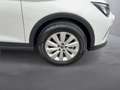 SEAT Arona Austria Edition 1.0 TSI Weiß - thumbnail 7