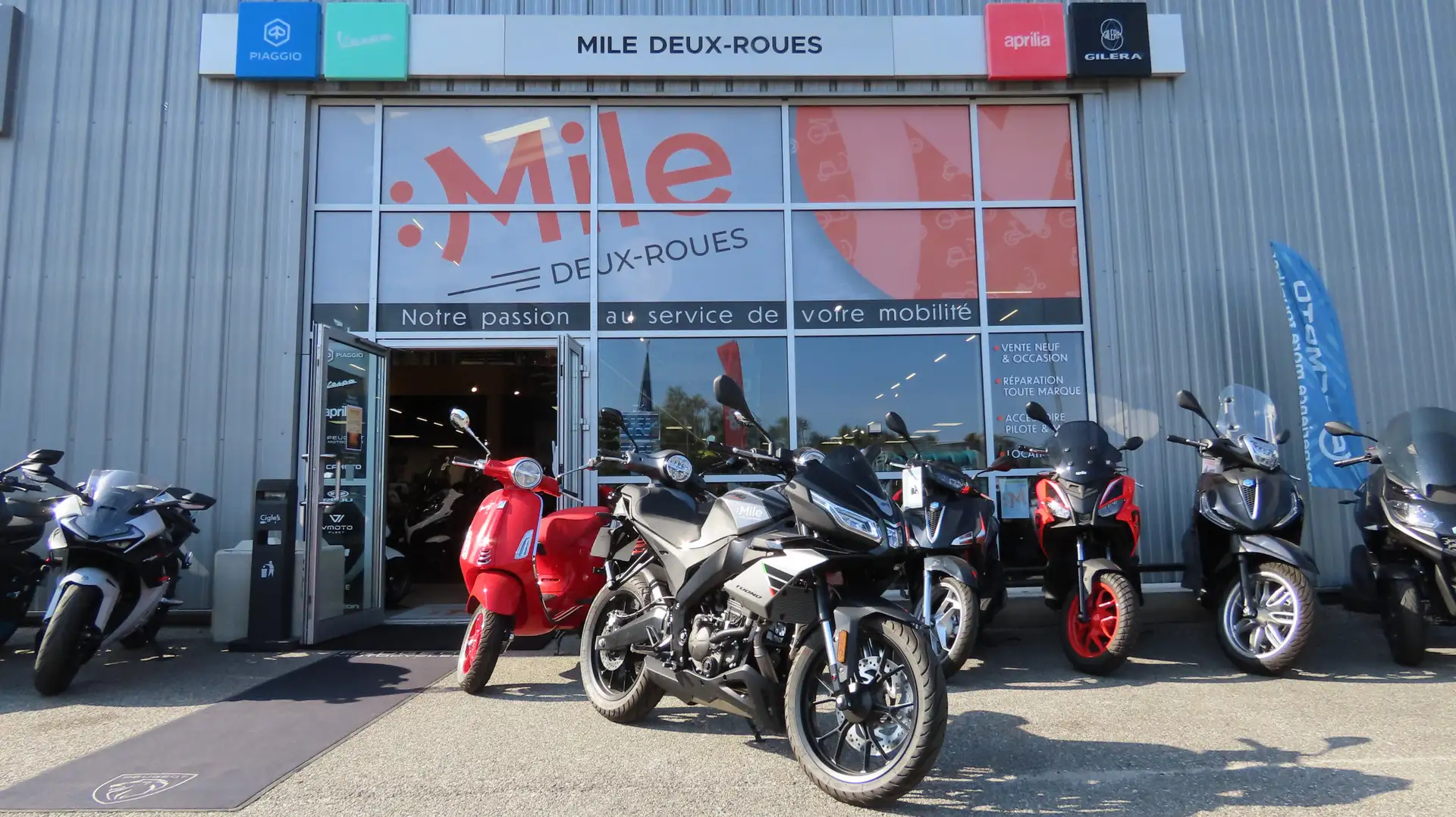 Aprilia Tuono Grau - 1