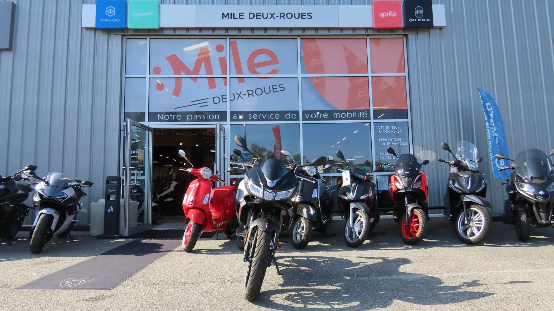 Aprilia Tuono Grau - 2