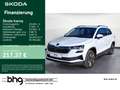 Skoda Karoq 1.5 TSI ACT Selection Kamera Weiß - thumbnail 1