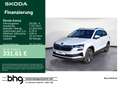Skoda Karoq 1.5 TSI ACT Selection Kamera Blanc - thumbnail 1