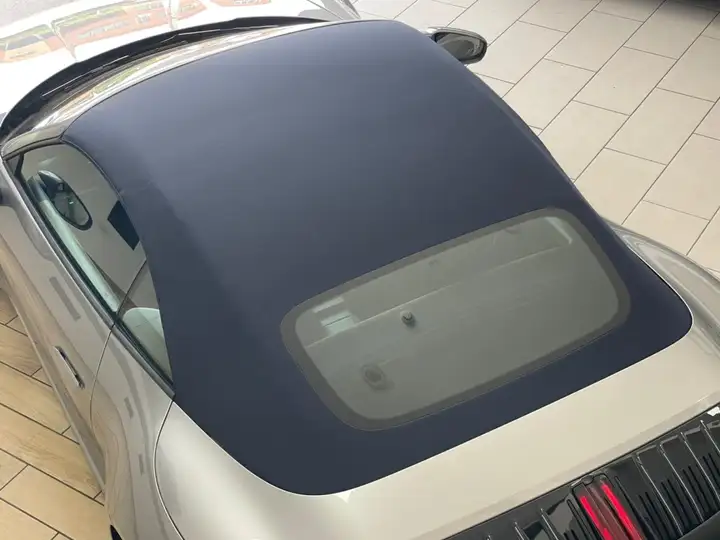 Porsche Carrera 2025, foto 13