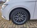SEAT Leon 1,4 TSI Connect 1. Hand! Weiß - thumbnail 9
