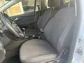 Ford Focus 5p 1.5 tdci ST-Line 120cv Weiß - thumbnail 7