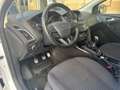 Ford Focus 5p 1.5 tdci ST-Line 120cv Weiß - thumbnail 8