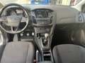Ford Focus 5p 1.5 tdci ST-Line 120cv Weiß - thumbnail 10