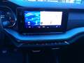 Skoda Octavia Octavia IV Wagon 2.0 tdi evo Executive 115cv Vert - thumbnail 9