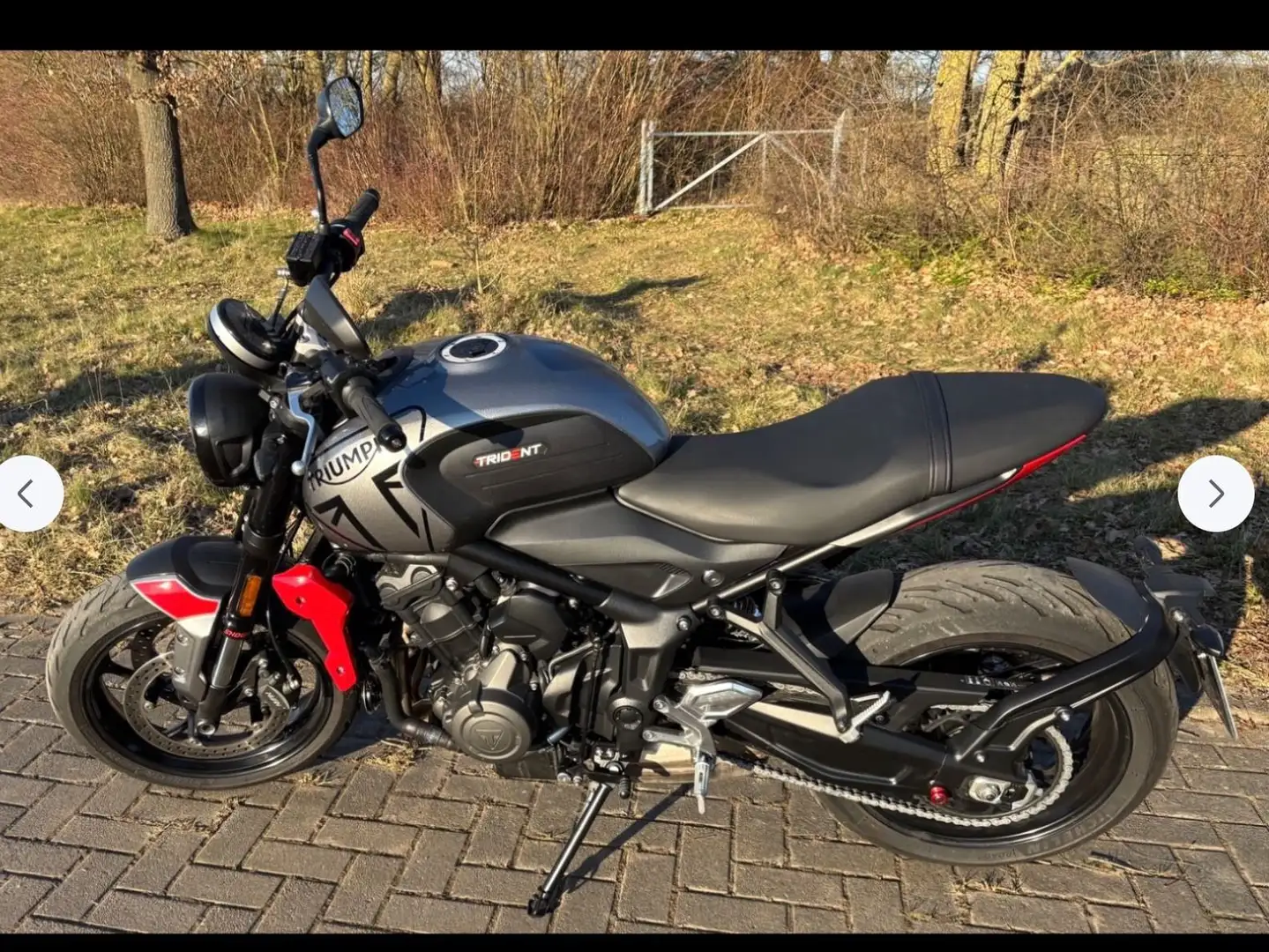 Triumph Trident 660 Argintiu - 2