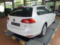 Volkswagen Golf Variant Golf VII Variant Life 1.2TSI Sitzheizung Klima P Weiß - thumbnail 5