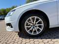 Audi A4 A4 35 TDI/163 CV S tronic Business Weiß - thumbnail 10