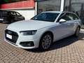 Audi A4 A4 35 TDI/163 CV S tronic Business Weiß - thumbnail 5