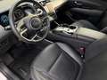 Hyundai TUCSON 1,6 T-GDI 4WD 48V Prestige Line DCT Weiß - thumbnail 13