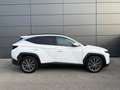 Hyundai TUCSON 1,6 T-GDI 4WD 48V Prestige Line DCT Weiß - thumbnail 4