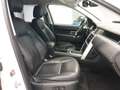 Land Rover Discovery Sport Discovery Sport 2.0 TD4 150 CV Auto Premium Busin Bianco - thumbnail 8