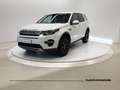 Land Rover Discovery Sport Discovery Sport 2.0 TD4 150 CV Auto Premium Busin Bianco - thumbnail 3