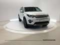 Land Rover Discovery Sport Discovery Sport 2.0 TD4 150 CV Auto Premium Busin Bianco - thumbnail 1