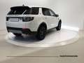 Land Rover Discovery Sport Discovery Sport 2.0 TD4 150 CV Auto Premium Busin Bianco - thumbnail 6