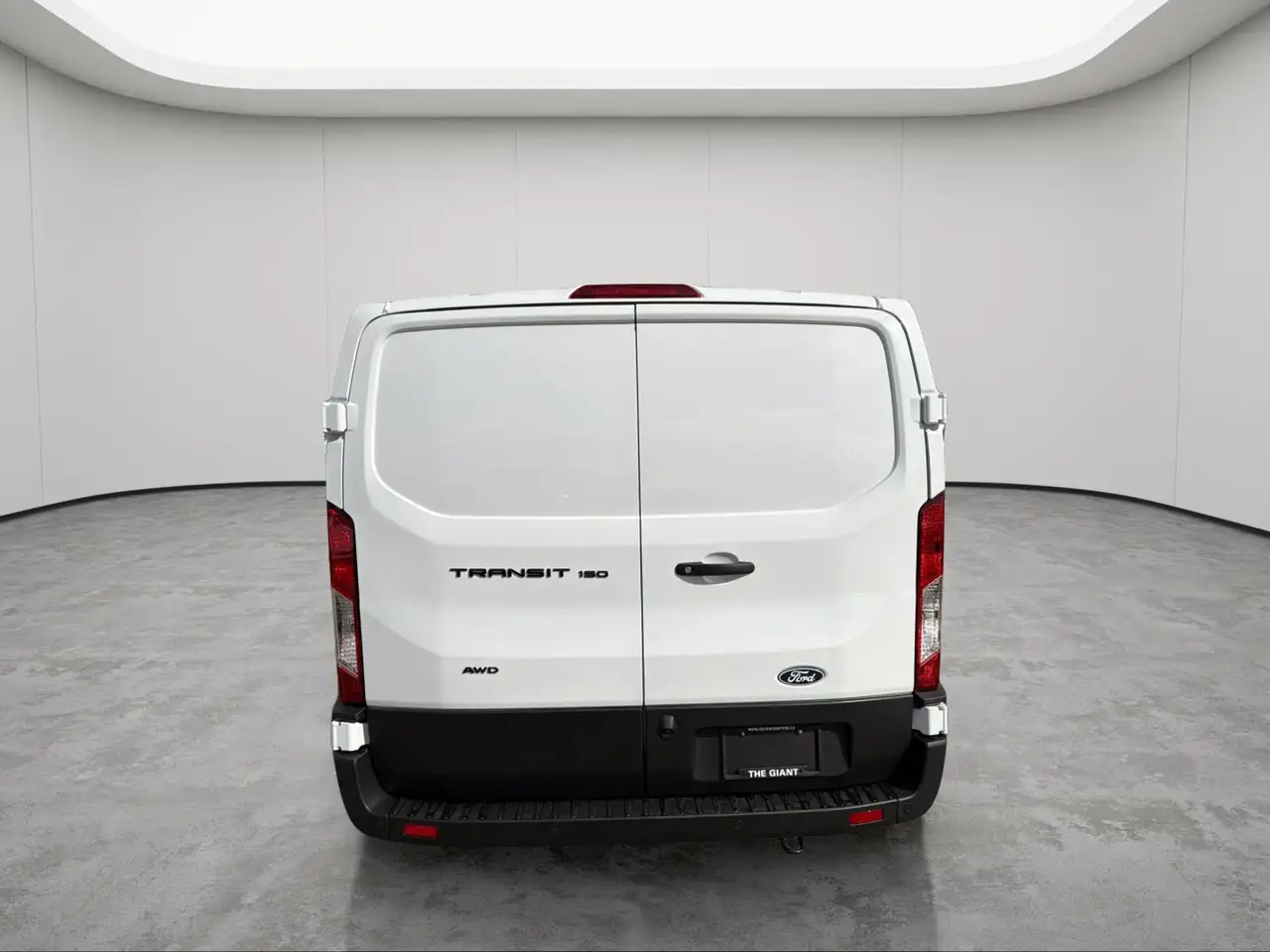 Ford Transit Cargo Van fotografie Ford Transit Cargo Van