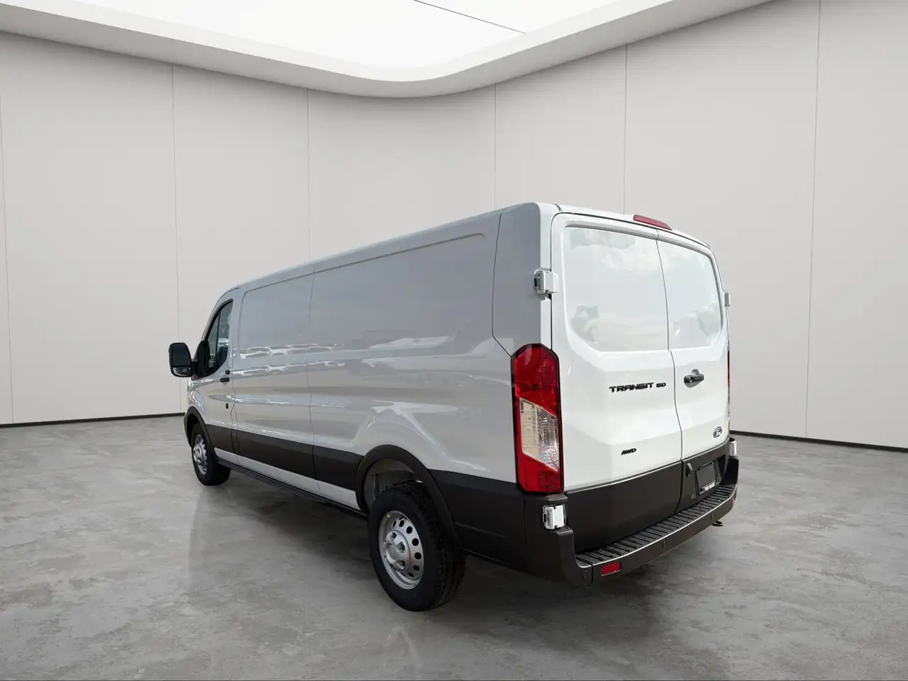 Ford Transit Cargo Van fotografie Ford Transit Cargo Van