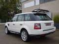 Land Rover Range Rover Sport Range Rover Sport 3.0 tdV6 HSE auto Blanco - thumbnail 5