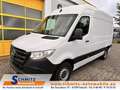 Mercedes-Benz Sprinter 316CDI L2H2 R-Cam/Navi/Tempo./AHK/Regal Weiß - thumbnail 1