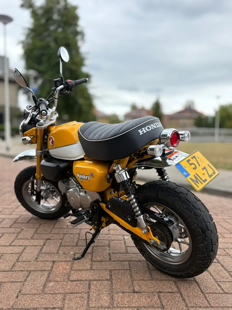 Honda Monkey 125 Żółty - 2