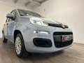 Fiat Panda Panda 1.2 Easy easypower Gpl 69cv my19 Grau - thumbnail 8