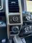 Ford F 150 Todoterreno Automático de 2 Puertas Azul - thumbnail 20