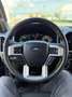 Ford F 150 Todoterreno Automático de 2 Puertas Azul - thumbnail 25