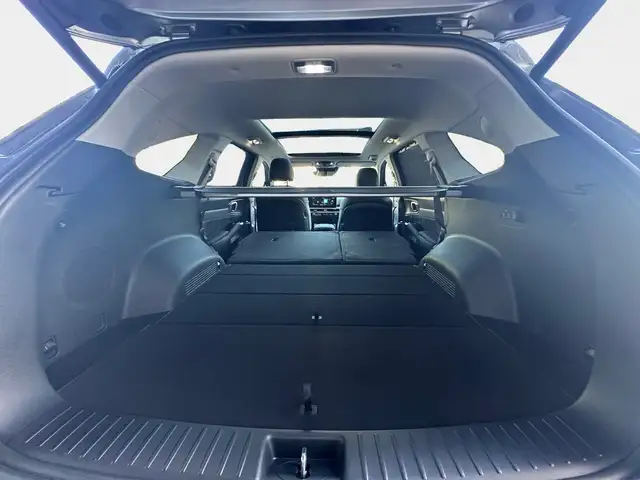 Kia Sorento view 12