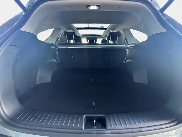 Kia Sorento view 11