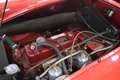 MG MGA MG A 1600 Rojo - thumbnail 43